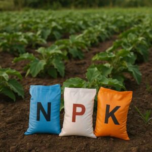 Trois sacs d’engrais NPK colorés posés sur un champ cultivé