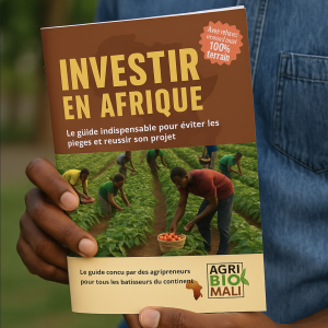 mockup investir en afrique 1 mockup investir en afrique 1